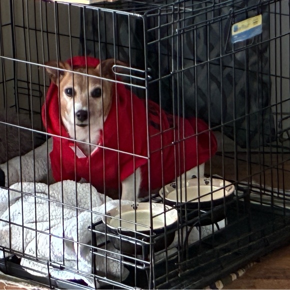 🫧🍄L.  I.  V.  E.🍄🫧 - Picture 7 of 14